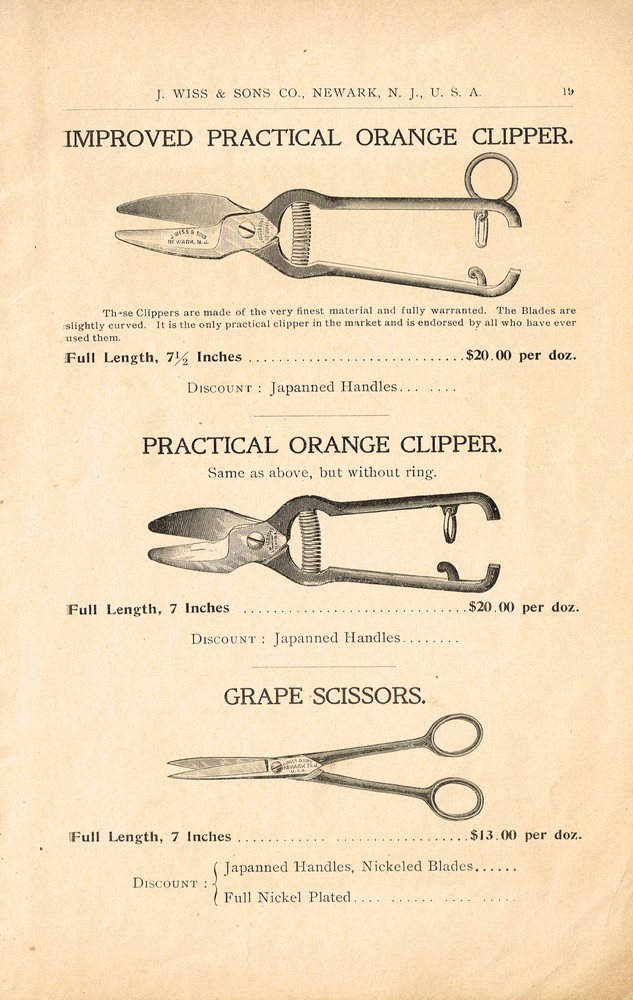 1901 Catalog: Page 19