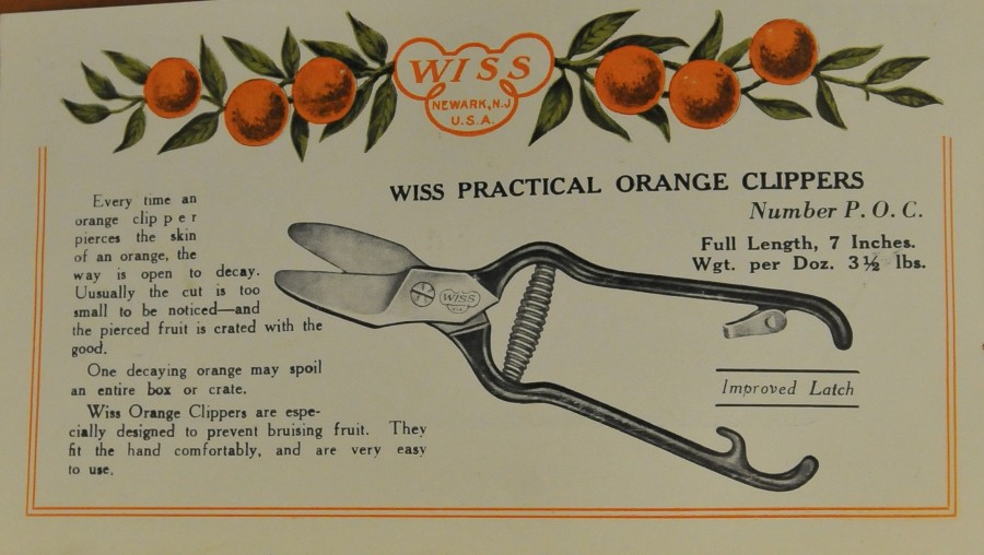 orange-clippers-booklet-2