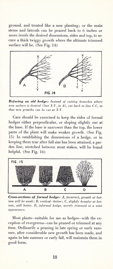How to Prune for Better Flowers, Shrubs, Trees and Fruits: Page 20