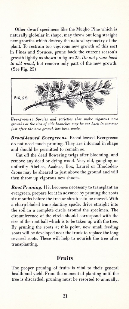 How to Prune for Better Flowers, Shrubs, Trees and Fruits: Page 33