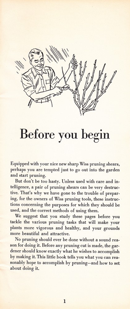 Pruning Guide for Better Shrubs, Trees, Fruits and Flowers (1963): Page 3