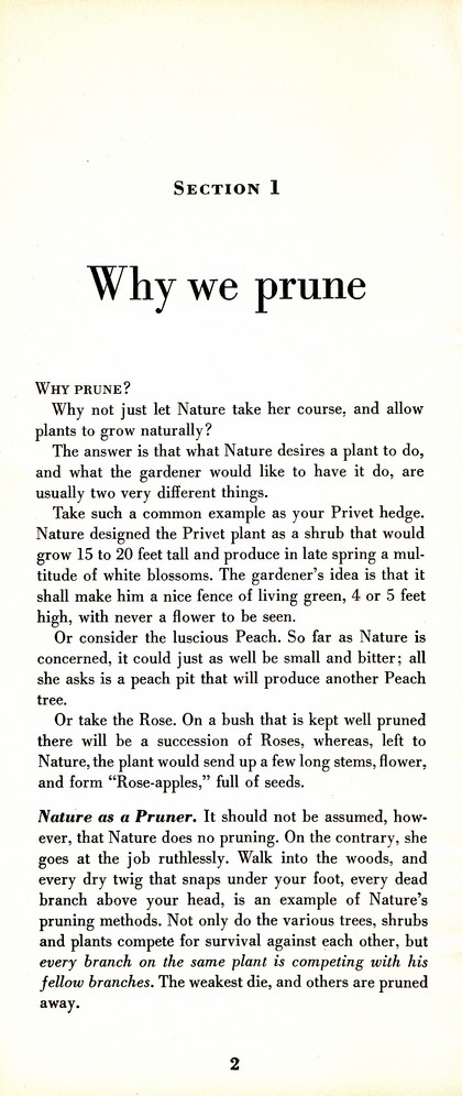 Pruning Guide for Better Shrubs, Trees, Fruits and Flowers (1963): Page 4