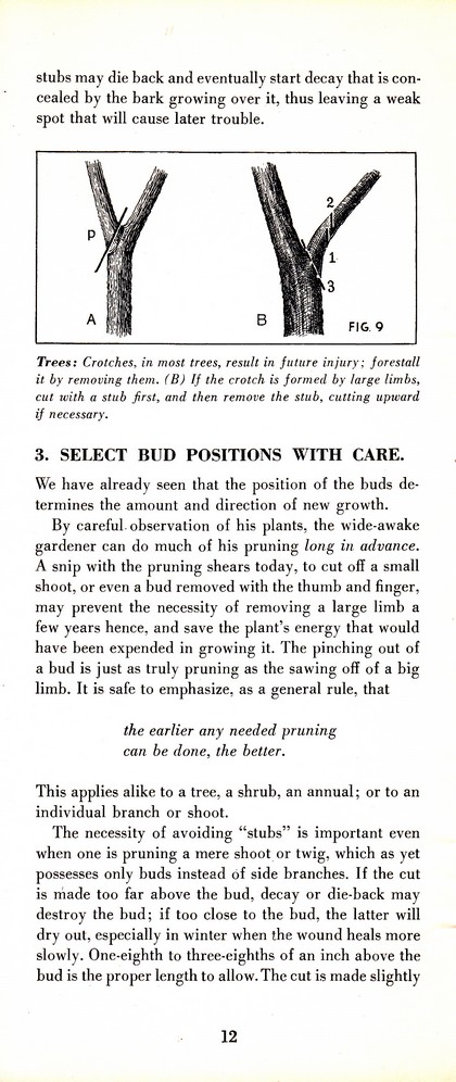 Pruning Guide for Better Shrubs, Trees, Fruits and Flowers (1963): Page 14