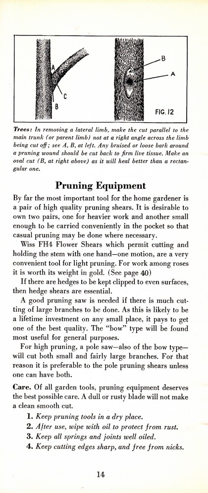 Pruning Guide for Better Shrubs, Trees, Fruits and Flowers (1963): Page 16