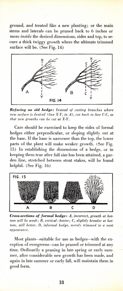 Pruning Guide for Better Shrubs, Trees, Fruits and Flowers (1963): Page 20