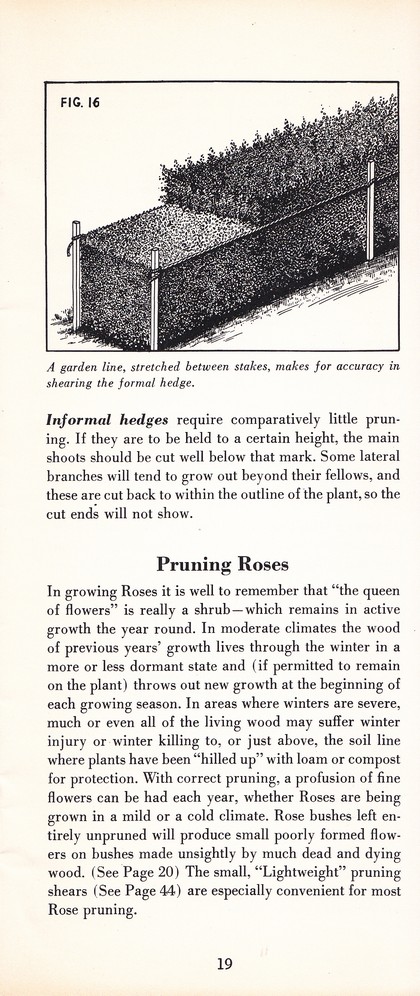 Pruning Guide for Better Shrubs, Trees, Fruits and Flowers (1963): Page 21
