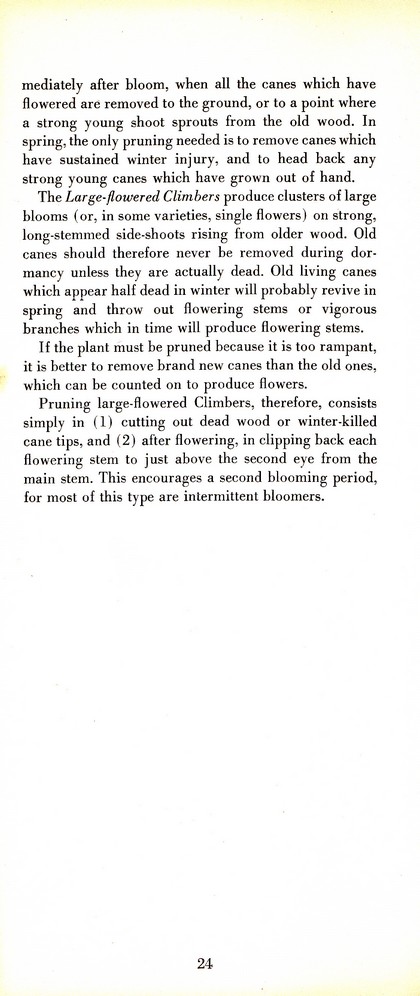 Pruning Guide for Better Shrubs, Trees, Fruits and Flowers (1963): Page 26