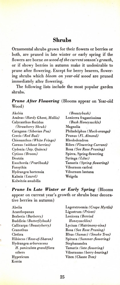 Pruning Guide for Better Shrubs, Trees, Fruits and Flowers (1963): Page 27