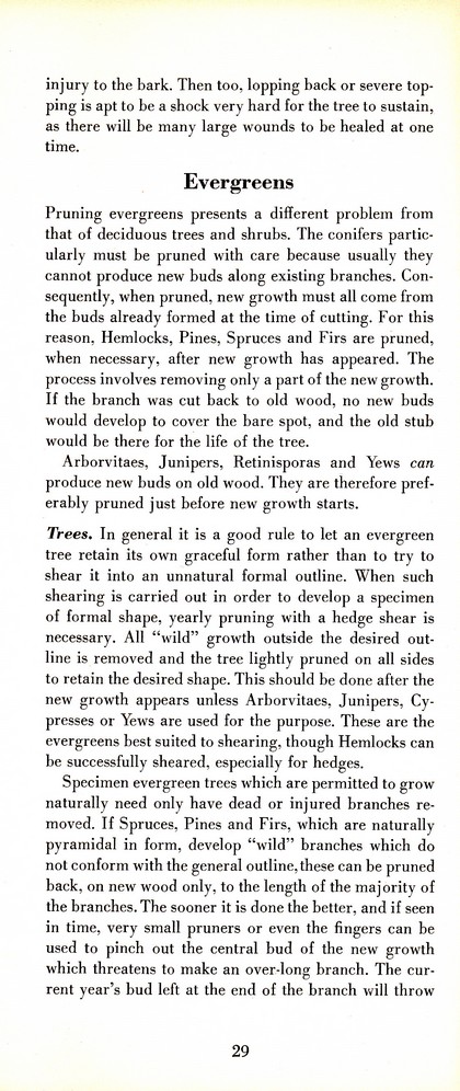 Pruning Guide for Better Shrubs, Trees, Fruits and Flowers (1963): Page 31