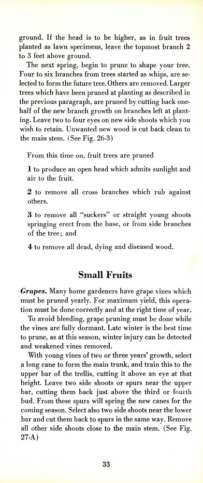 Pruning Guide for Better Shrubs, Trees, Fruits and Flowers (1963): Page 35