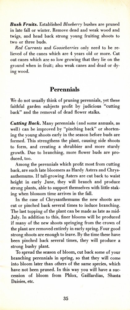 Pruning Guide for Better Shrubs, Trees, Fruits and Flowers (1963): Page 37