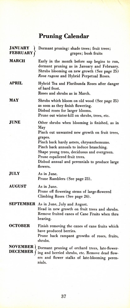 Pruning Guide for Better Shrubs, Trees, Fruits and Flowers (1963): Page 39