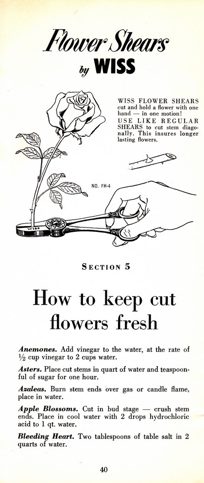 Pruning Guide for Better Shrubs, Trees, Fruits and Flowers (1963): Page 42