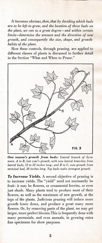 The Wiss Guide to Better Pruning (1965): Page 9