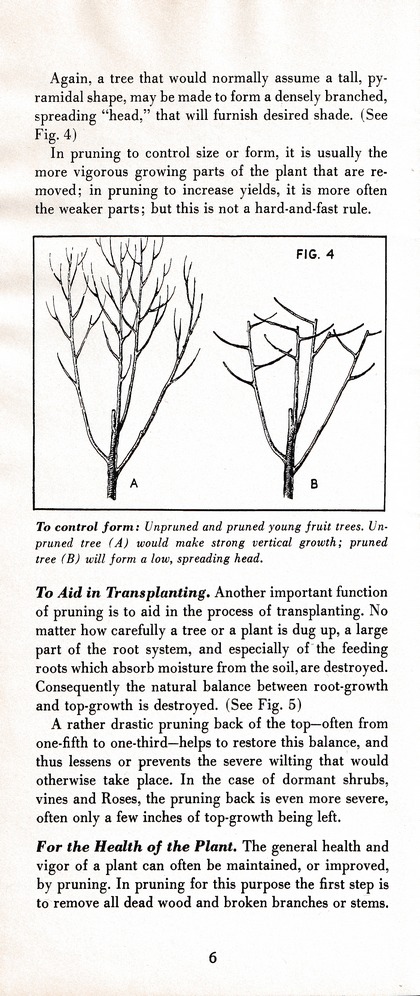 The Wiss Guide to Better Pruning (1965): Page 10