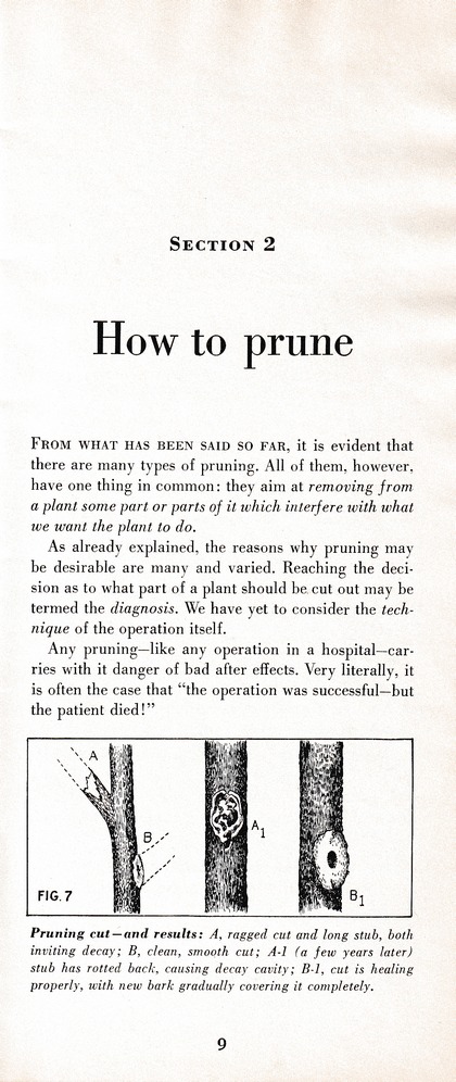 The Wiss Guide to Better Pruning (1965): Page 13