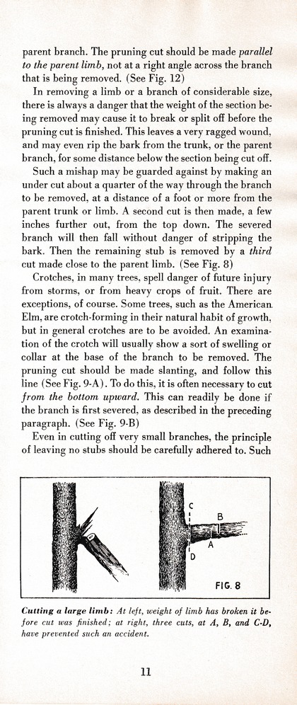 The Wiss Guide to Better Pruning (1965): Page 15