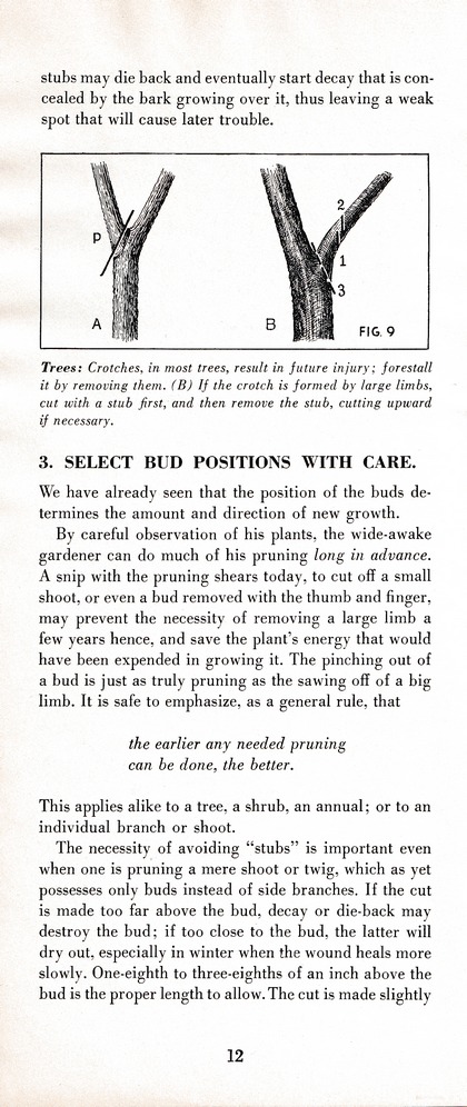 The Wiss Guide to Better Pruning (1965): Page 16