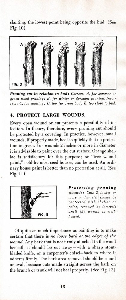 The Wiss Guide to Better Pruning (1965): Page 17