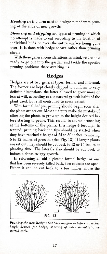 The Wiss Guide to Better Pruning (1965): Page 21