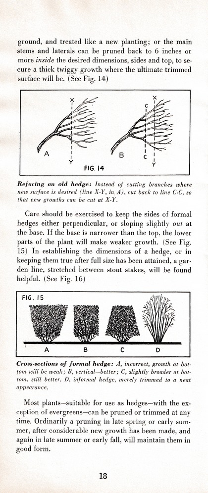 The Wiss Guide to Better Pruning (1965): Page 22