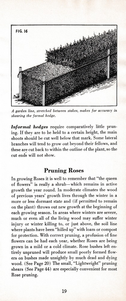 The Wiss Guide to Better Pruning (1965): Page 23