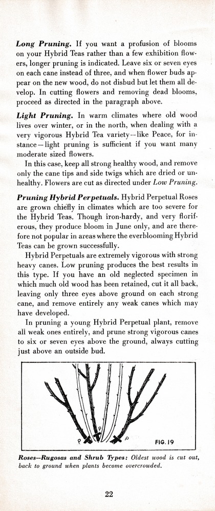 The Wiss Guide to Better Pruning (1965): Page 26
