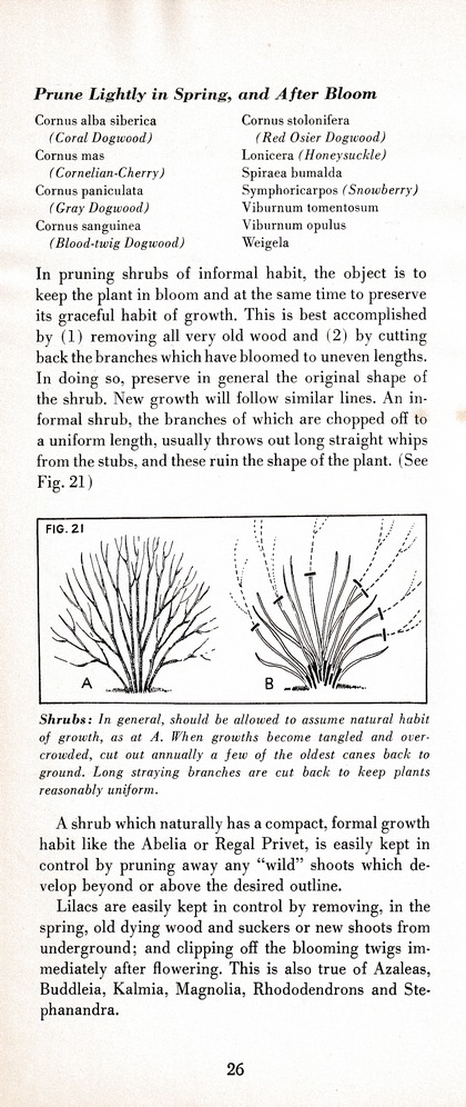 The Wiss Guide to Better Pruning (1965): Page 30