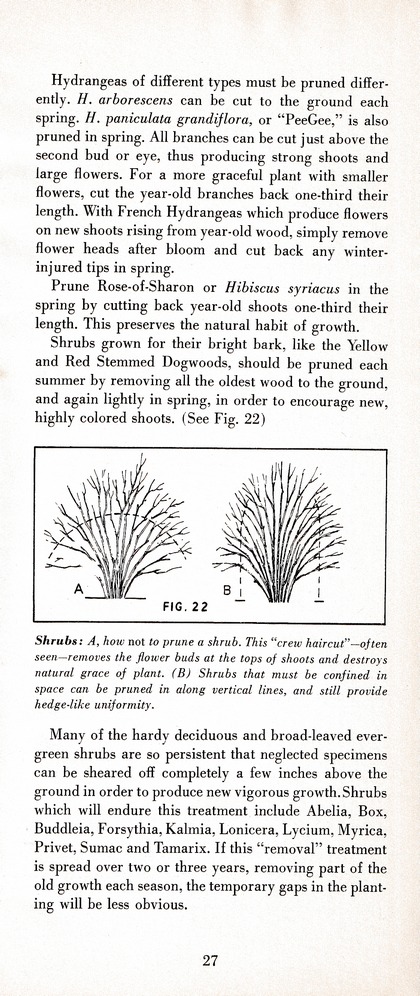 The Wiss Guide to Better Pruning (1965): Page 31