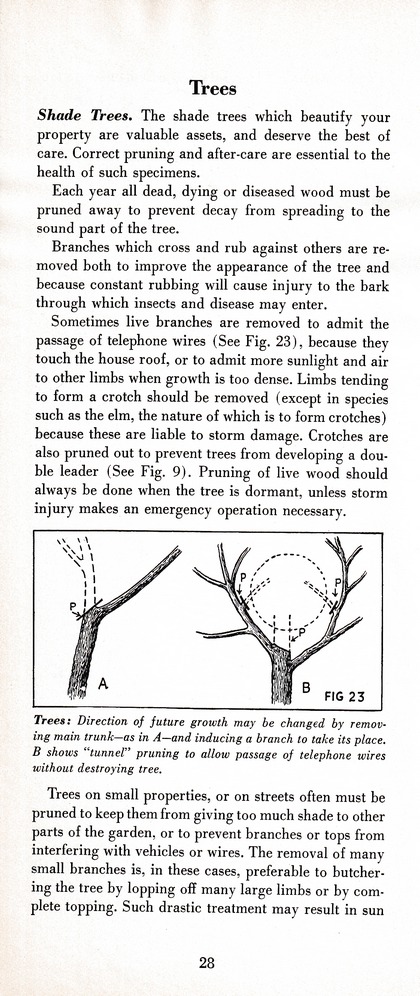 The Wiss Guide to Better Pruning (1965): Page 32