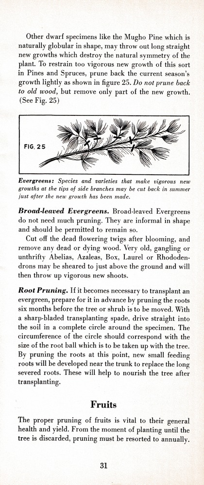 The Wiss Guide to Better Pruning (1965): Page 35