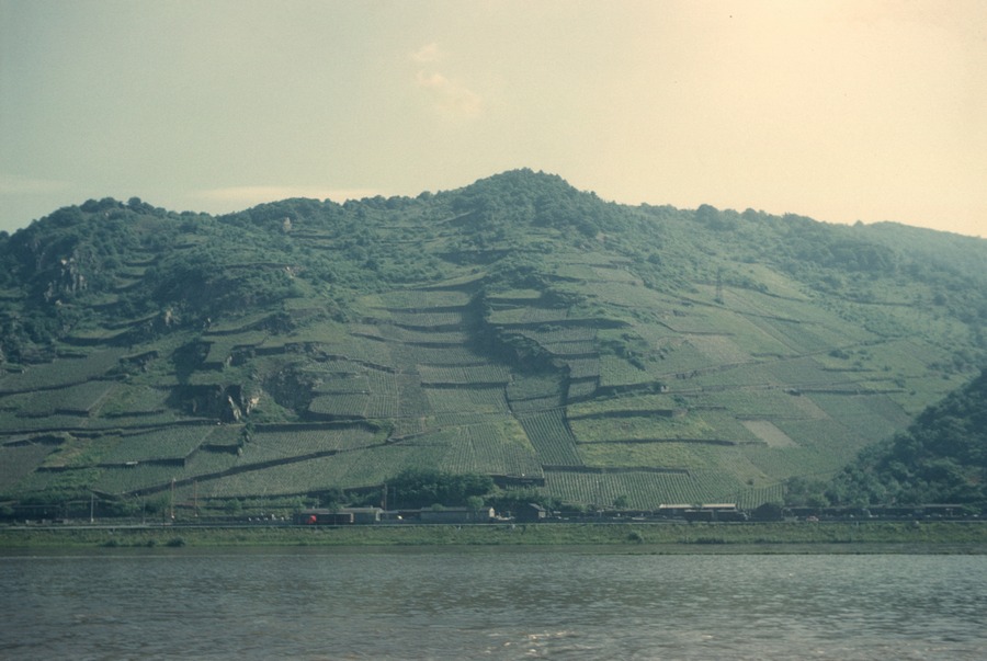 167 Rhine River