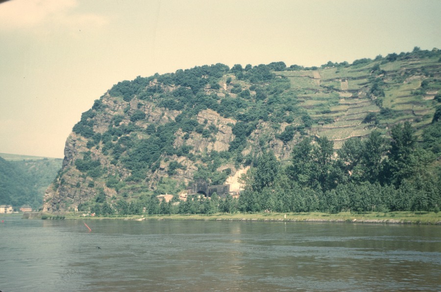 169 Rhine River