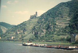 171 Rhine River Maus Castle