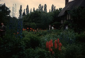 225 Anne Hathaway's Cottage