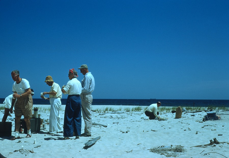 Beach Party 1950 4
