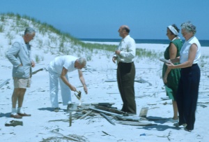 Beach Party 1950