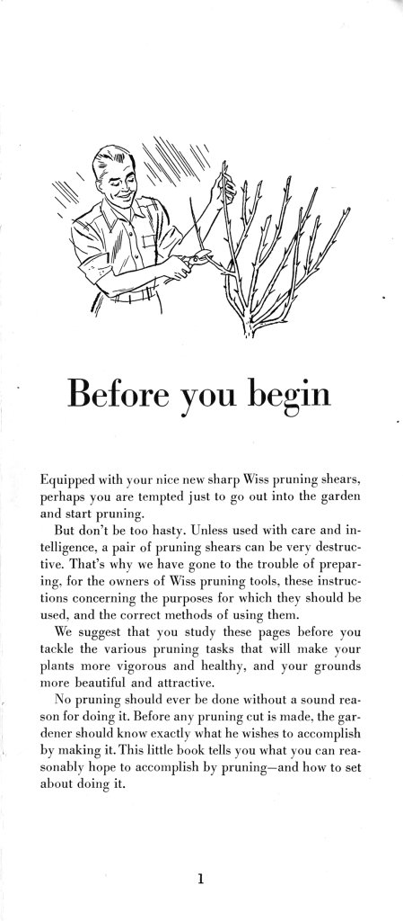 How to Prune for Better Flowers, Shrubs, Trees and Fruits: Page 3