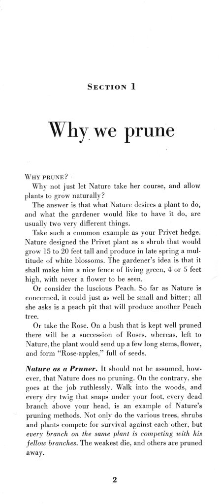 How to Prune for Better Flowers, Shrubs, Trees and Fruits: Page 4