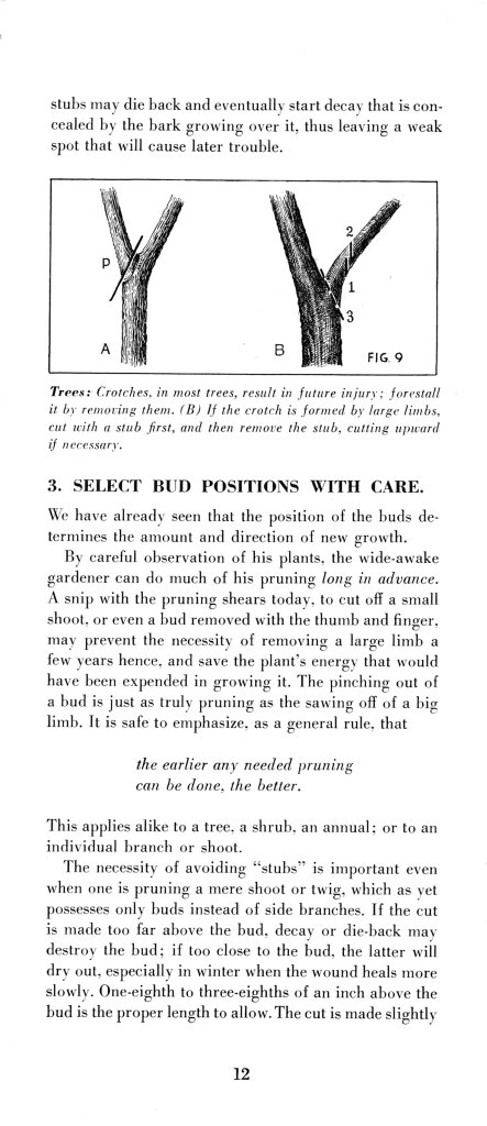 How to Prune for Better Flowers, Shrubs, Trees and Fruits: Page 14