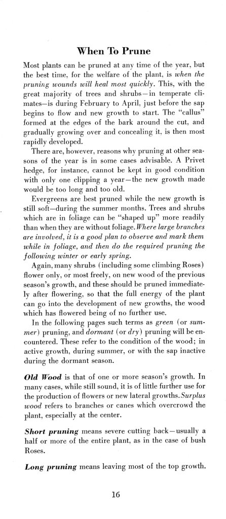 How to Prune for Better Flowers, Shrubs, Trees and Fruits: Page 18