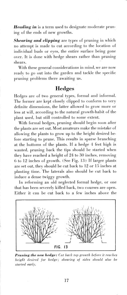 How to Prune for Better Flowers, Shrubs, Trees and Fruits: Page 19