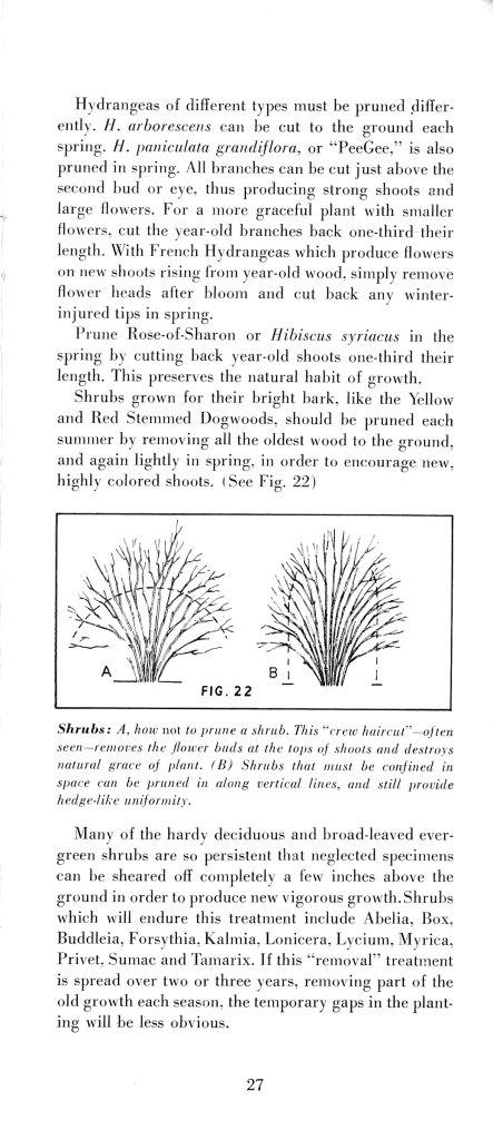 How to Prune for Better Flowers, Shrubs, Trees and Fruits: Page 29