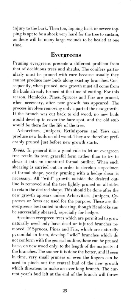 How to Prune for Better Flowers, Shrubs, Trees and Fruits: Page 31