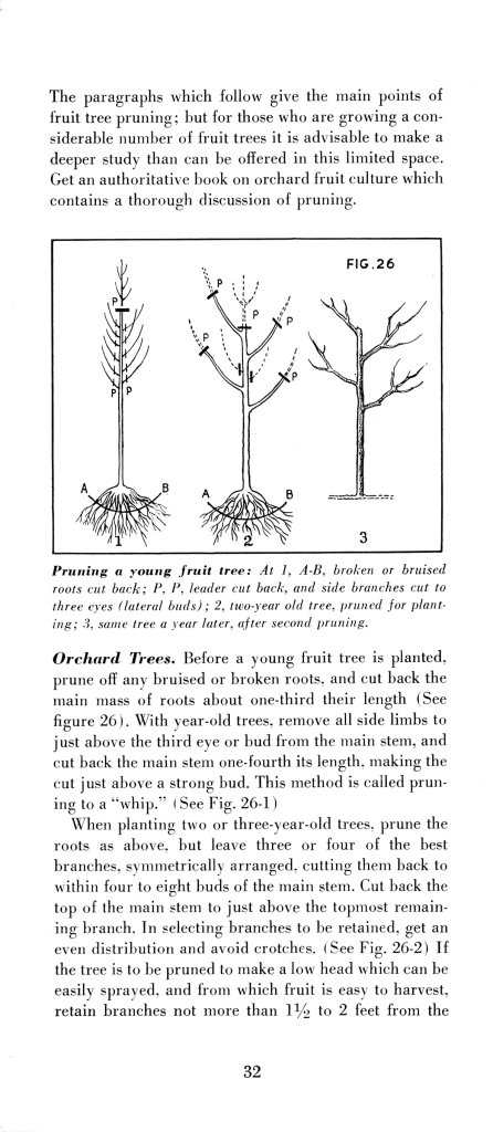 How to Prune for Better Flowers, Shrubs, Trees and Fruits: Page 34