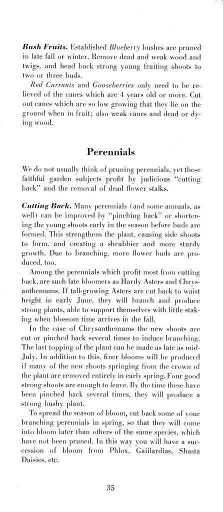 How to Prune for Better Flowers, Shrubs, Trees and Fruits: Page 37