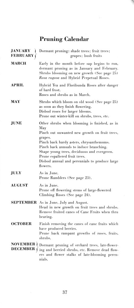 How to Prune for Better Flowers, Shrubs, Trees and Fruits: Page 39