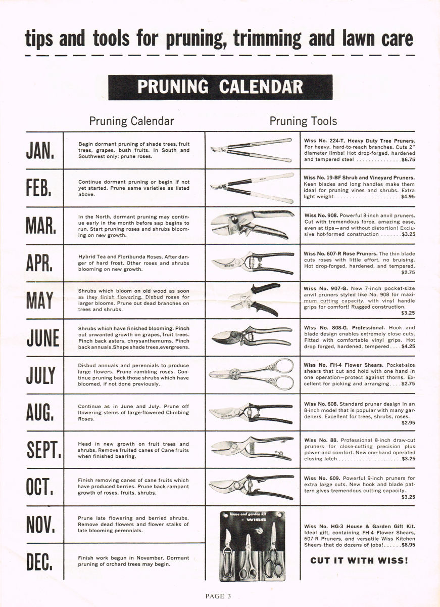 Pruning Guide 1959 3