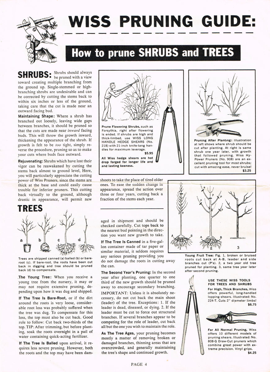 Pruning Guide 1959 4