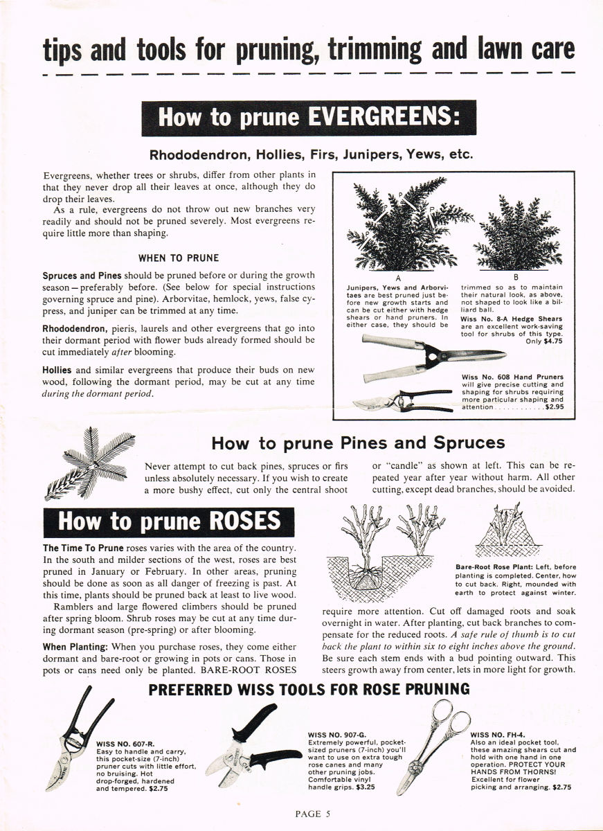 Pruning Guide 1959 5